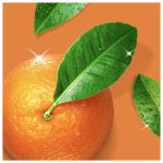 948919b83e85d6d75248b234243d443c41583a61 HR 8001841517728 2